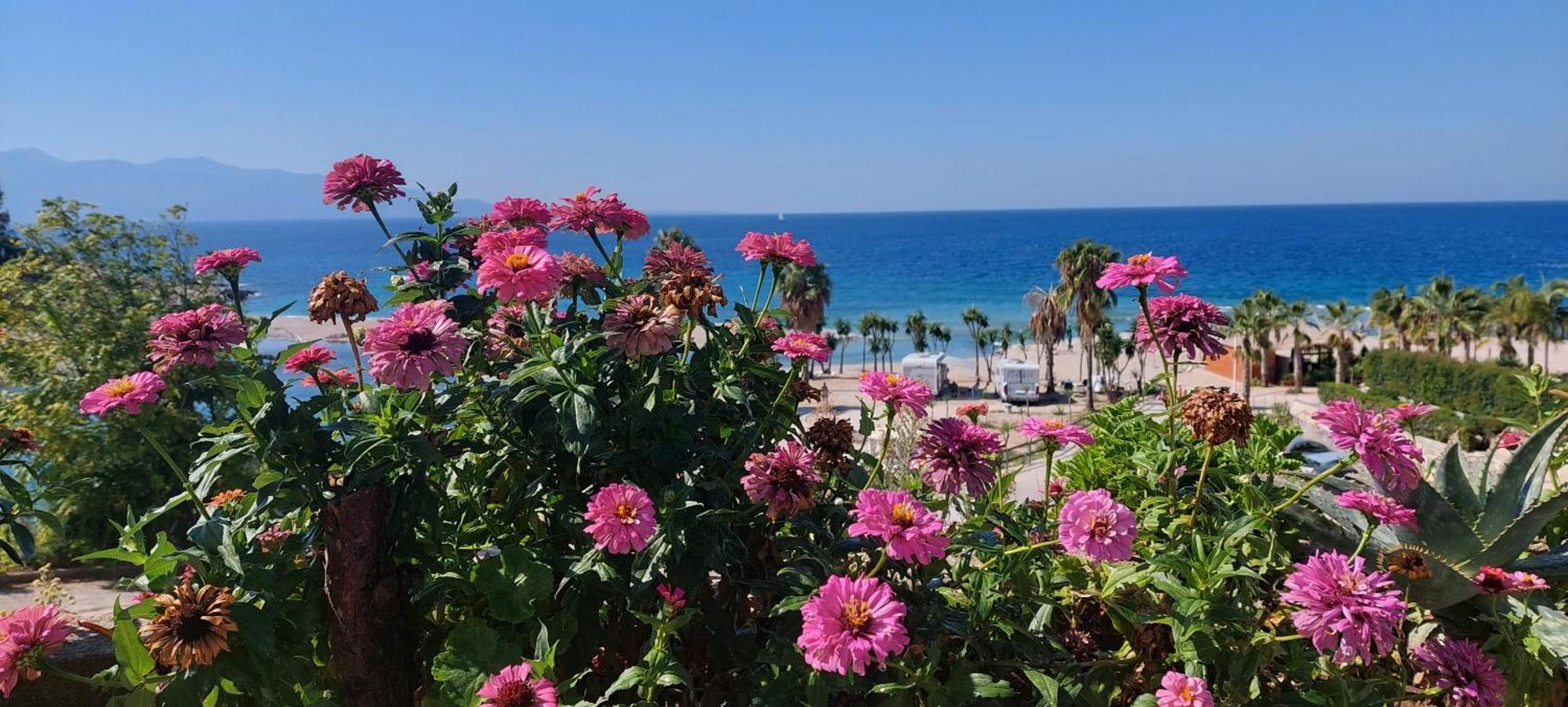 Apartment Tinka In Saranda מראה חיצוני תמונה
